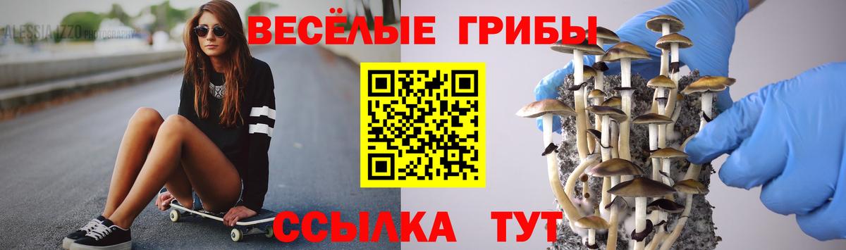 Псилоцибиновые грибы мухоморы  наркота  Галлюциногенные грибы мухоморы  Златоуст  Вход с VPN 